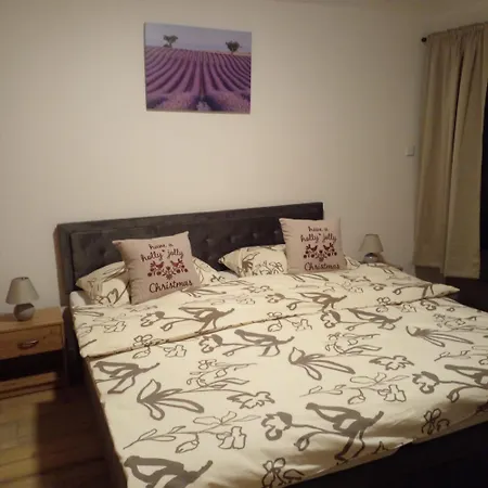 Resident And Wellness Apartment
