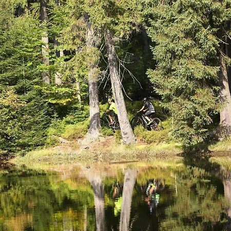 Resident And Wellness Harrachov